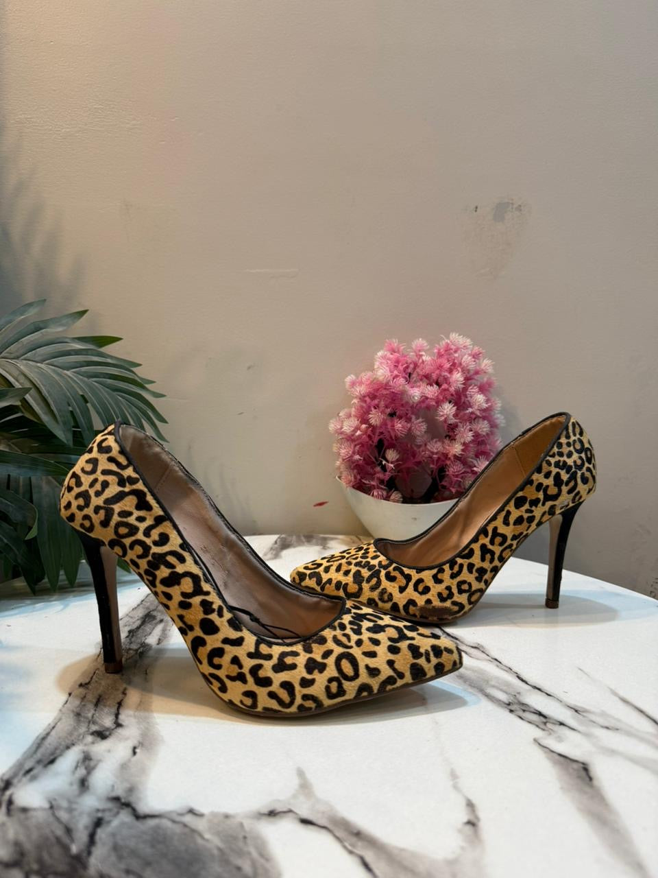 Chettah print coat shoes
