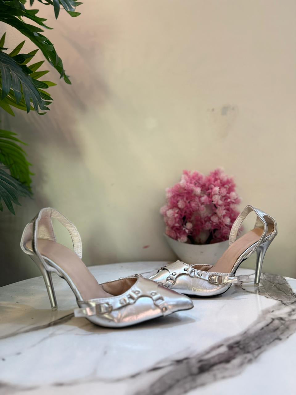 Silver coat shoes