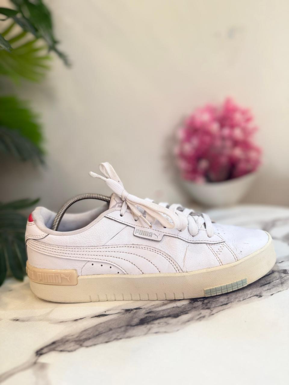 Puma