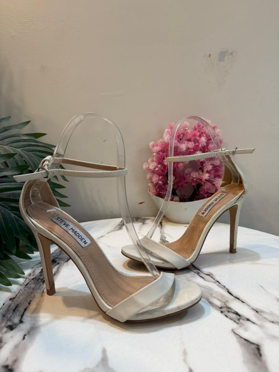Steve madden