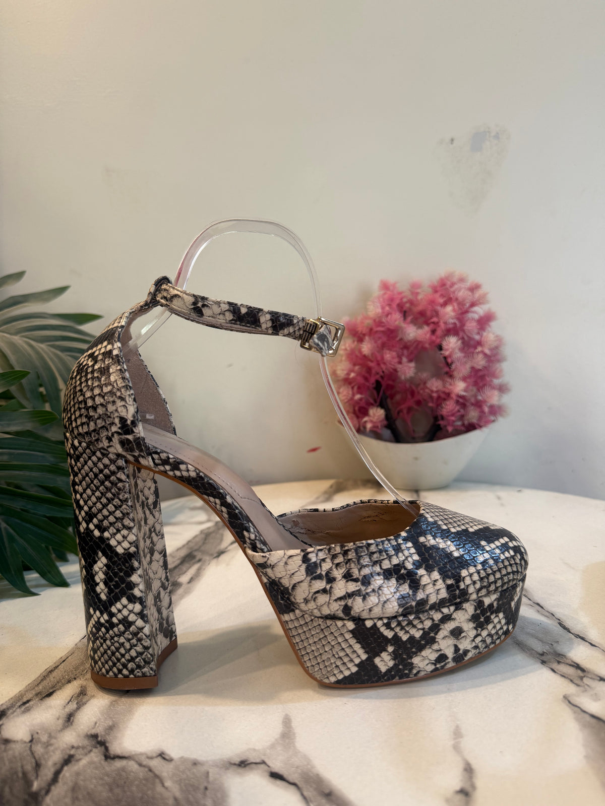 Aldo