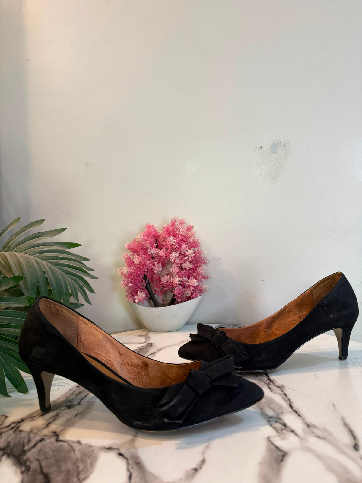Black coat shoes