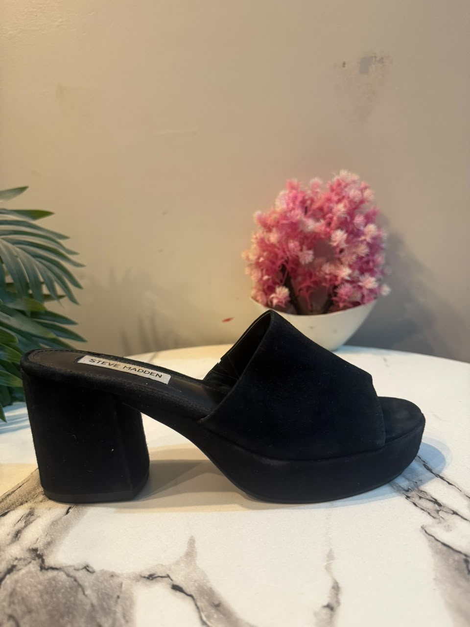 Steve madden