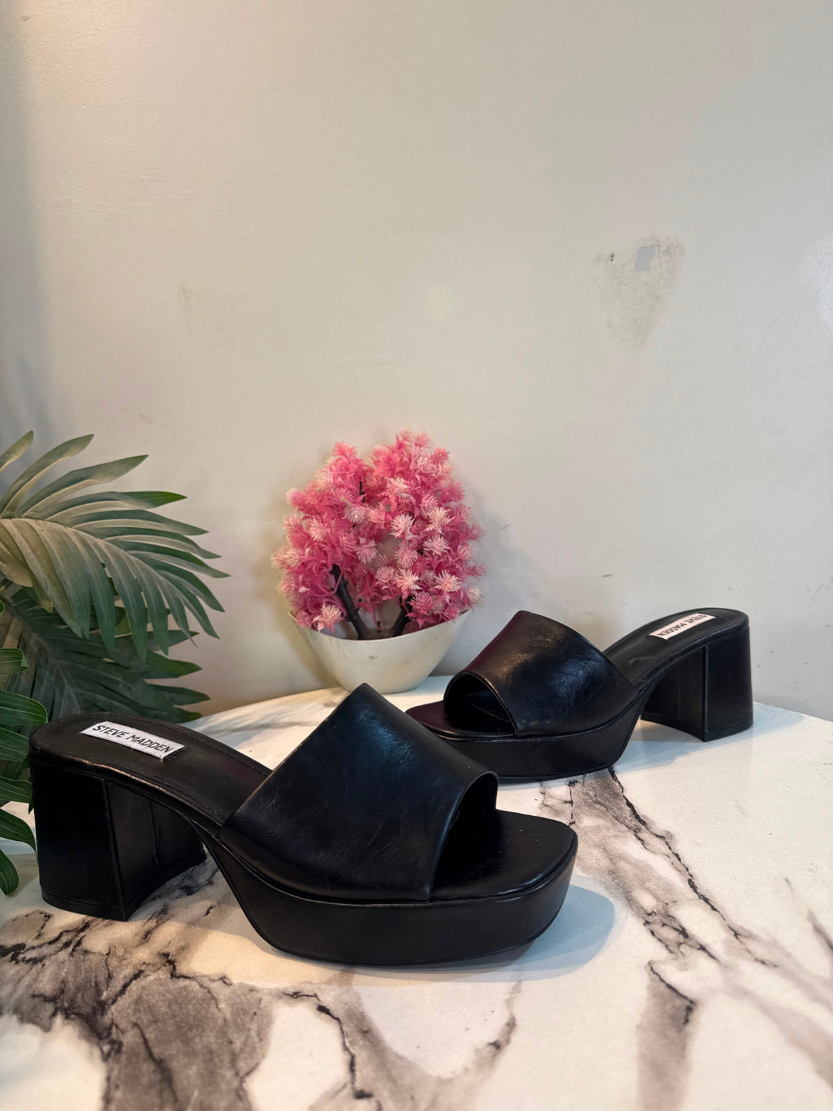 Steve Madden