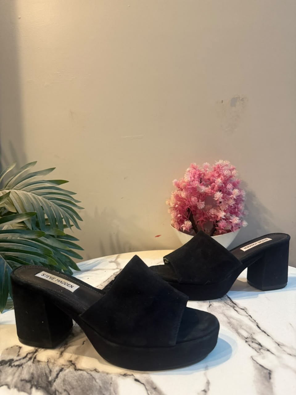 Steve madden