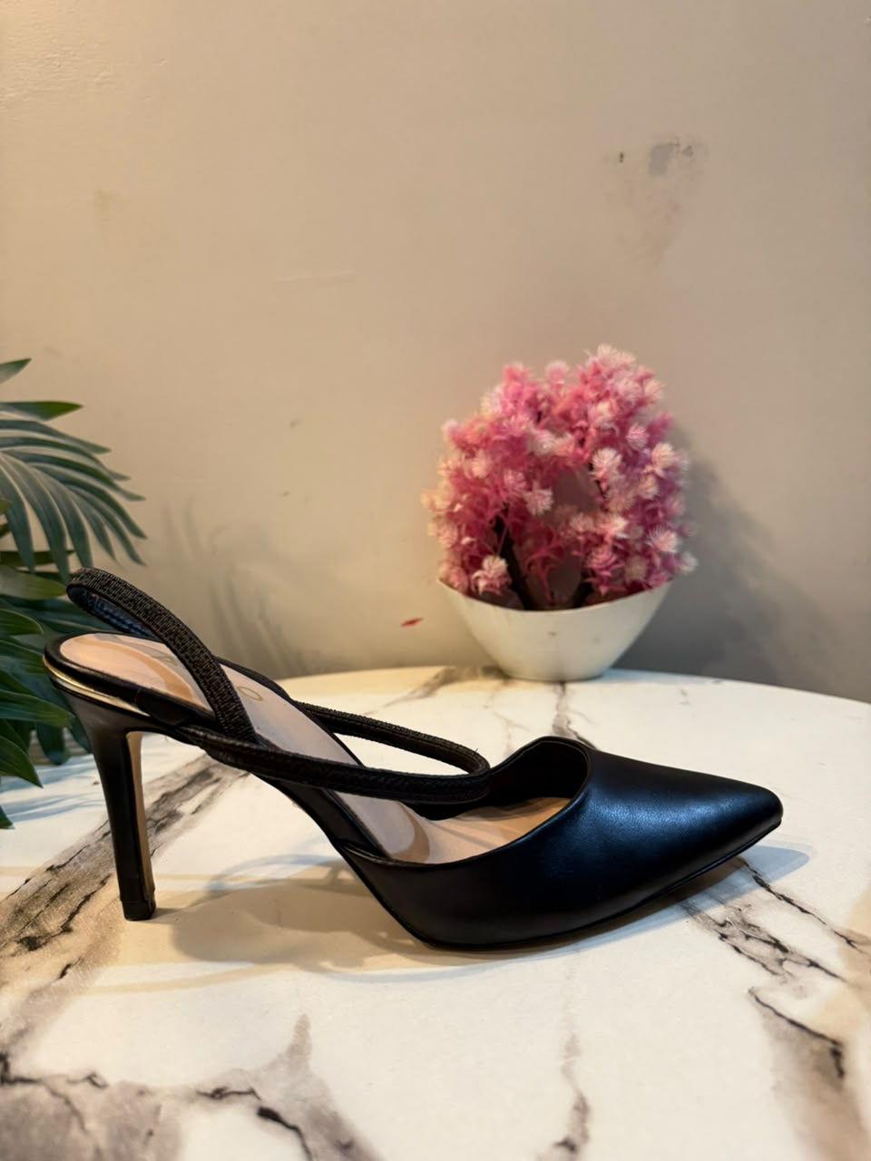 Aldo