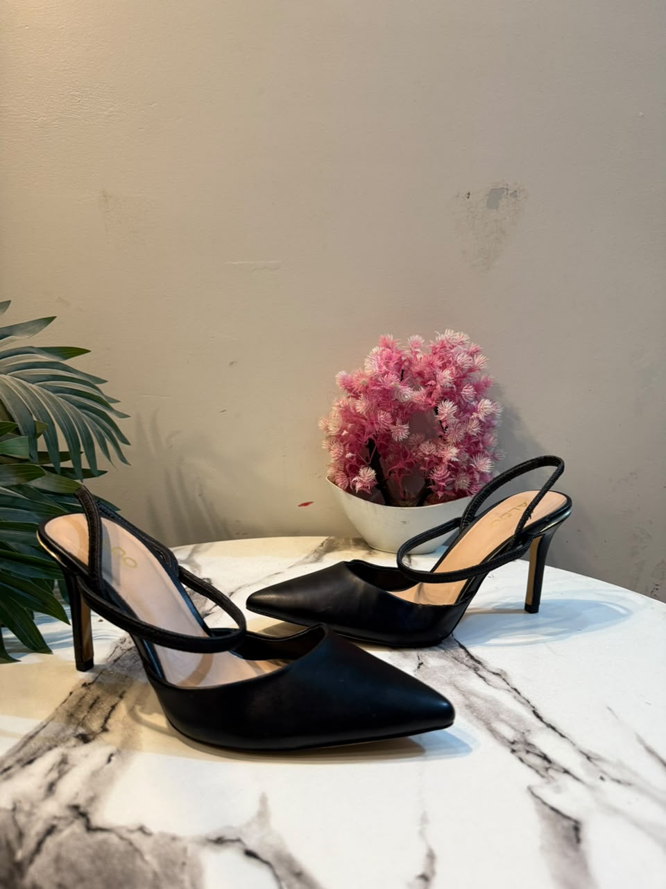 Aldo
