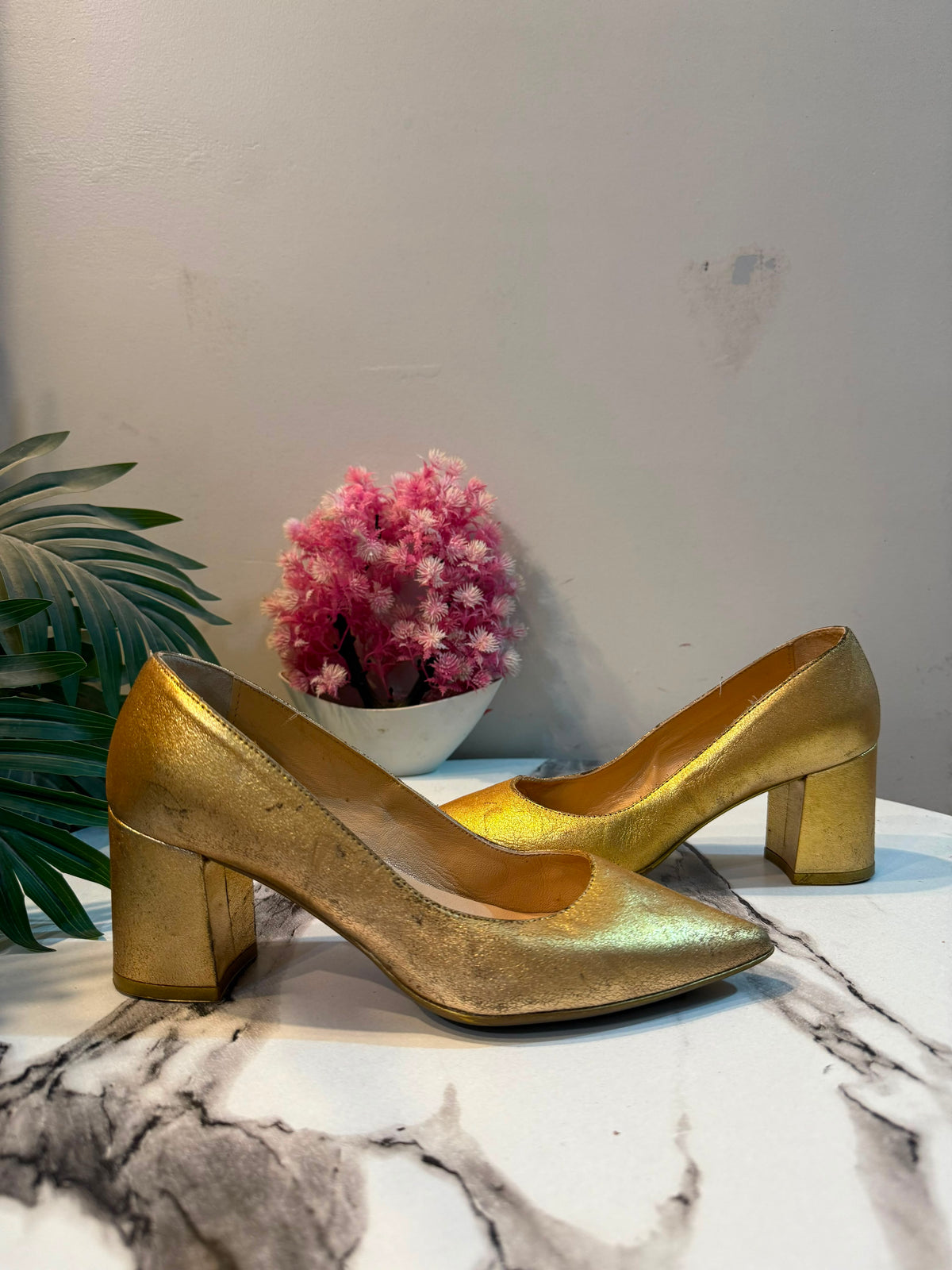 Golden coat shoes