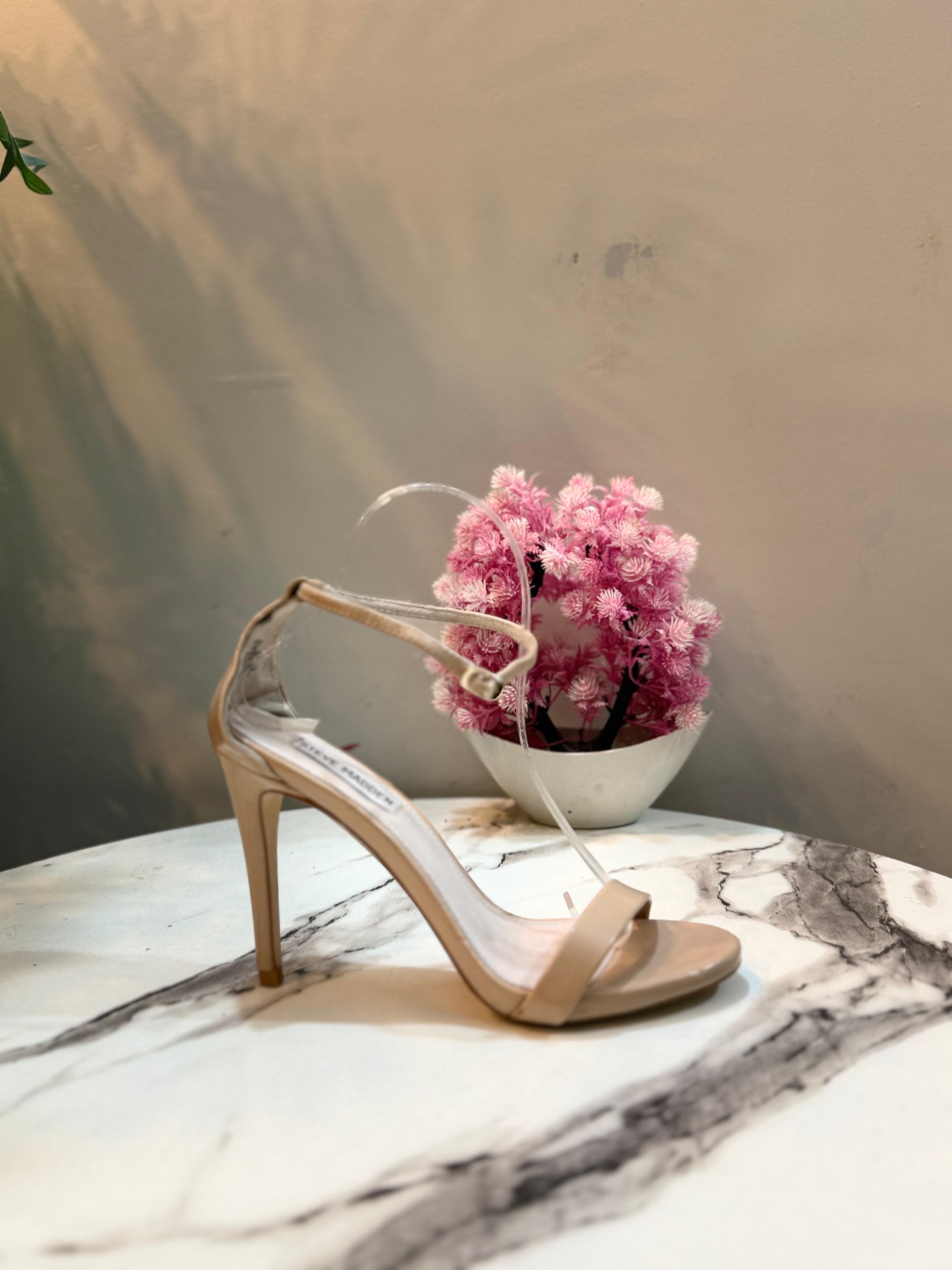 Steve madden