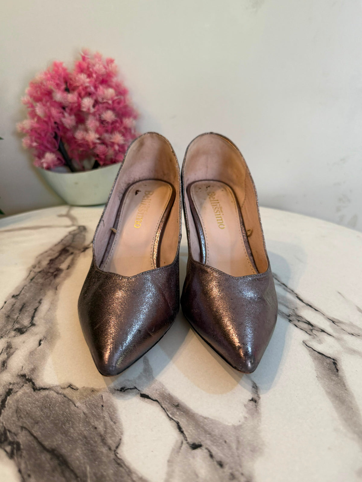 Silver coat shoes