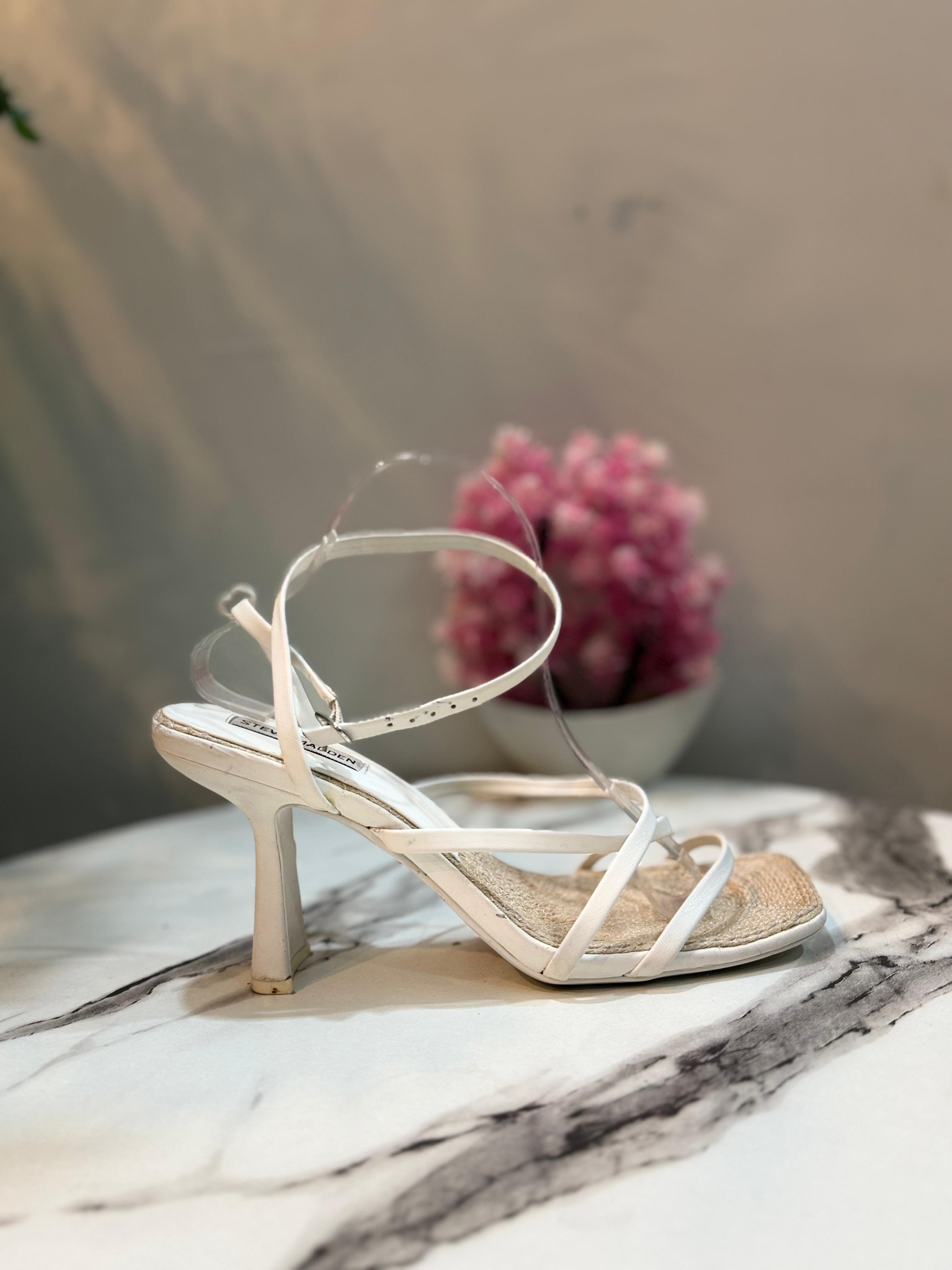 Steve madden
