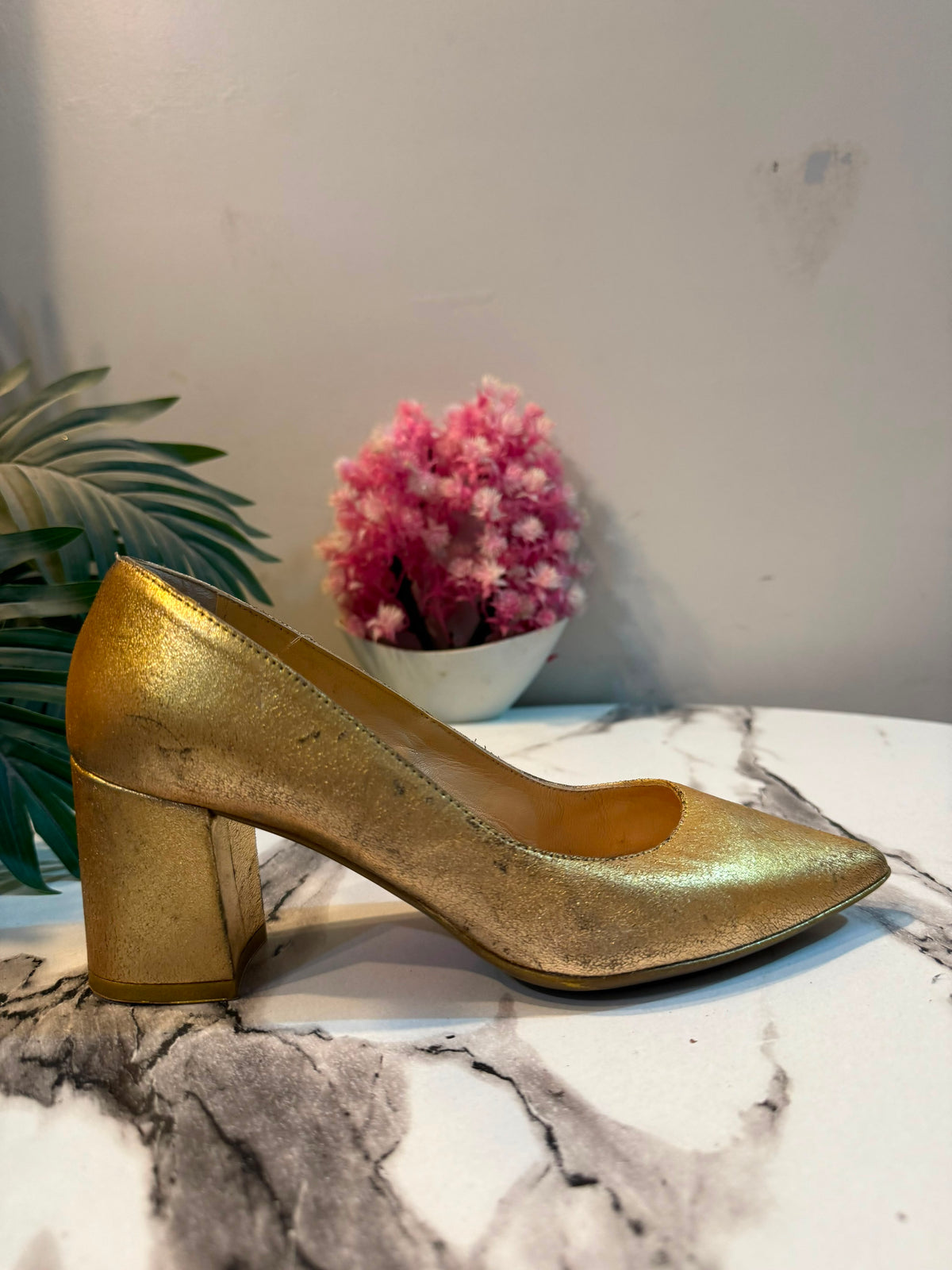 Golden coat shoes