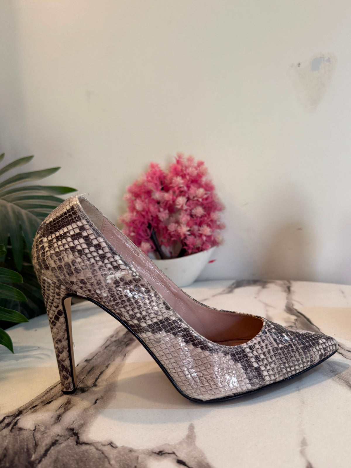 Snake print coat shoes ovye